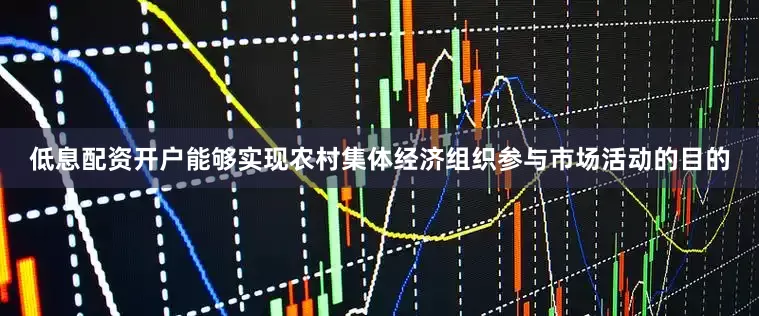 低息配资开户能够实现农村集体经济组织参与市场活动的目的