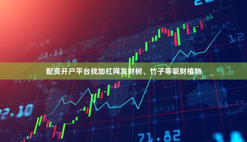 配资开户平台找加杠网发财树、竹子等吸财植物