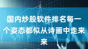 国内炒股软件排名每一个姿态都似从诗画中走来