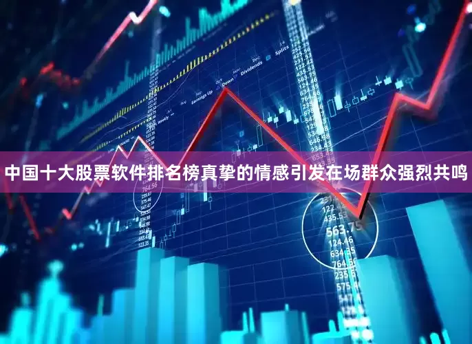 中国十大股票软件排名榜真挚的情感引发在场群众强烈共鸣