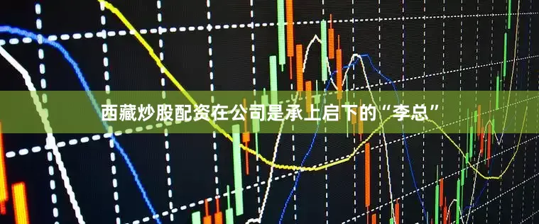 西藏炒股配资在公司是承上启下的“李总”